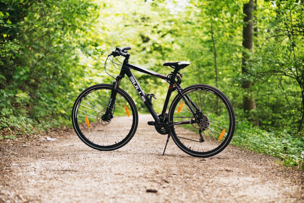 a black bike is parked in a forest, how to shop for a bike