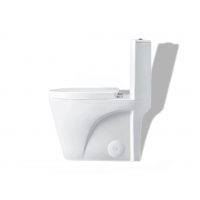 Fine Fixtures Dual-Flush Elongated One-Piece Toilet with High Efficiency Flush in White